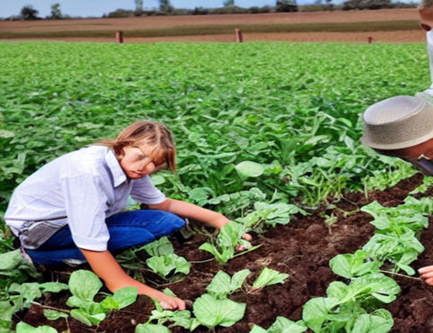 Agricultural Education: Empowering the Next Generation of Farmers